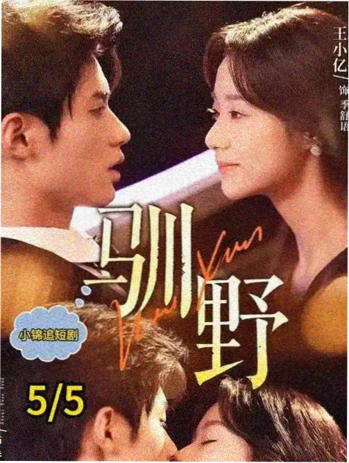 白露纪事剧集标本抽屉封面